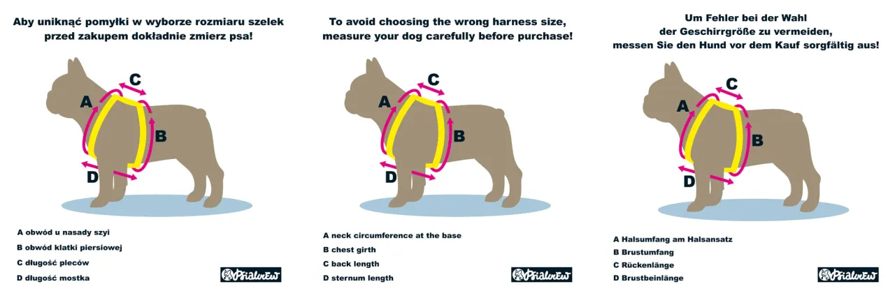 Jak dobrać szelki dla psa? Poznaj typy i uniknij błędów