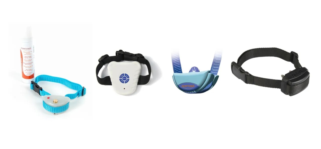 Jak działa obroża przeciw szczekaniu i czy naprawdę pomaga psom?