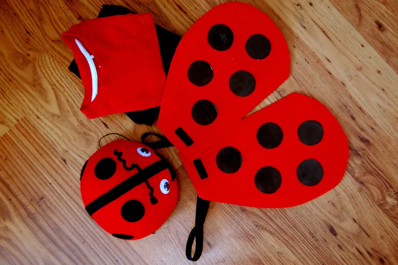 Jak zrobić strój biedronki - proste kroki i materiały do DIY