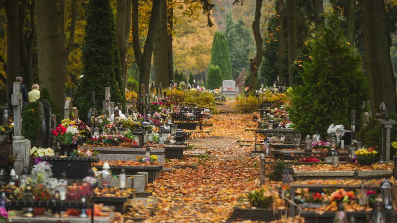 Jak znaleźć grób na cmentarzu? Sprawdzone sposoby na łatwe poszukiwania