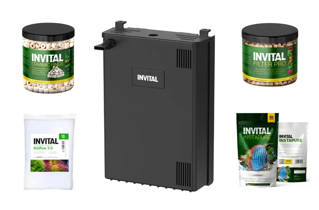 Jak zamontować filtr akwariowy? Poradnik krok po kroku