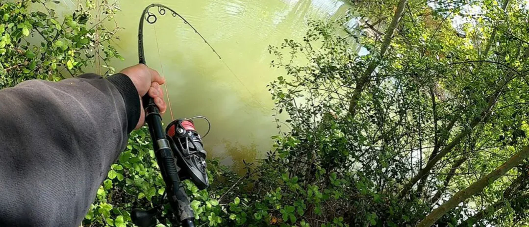 Jaka wędka uniwersalna? Odkryj najlepsze modele do różnych technik Jaka wędka uniwersalna? Odkryj najlepsze modele do różnych technik