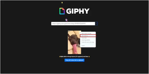 Prosty sposób jak pobrać gif z każdej strony w 3 krokach - szybki poradnik