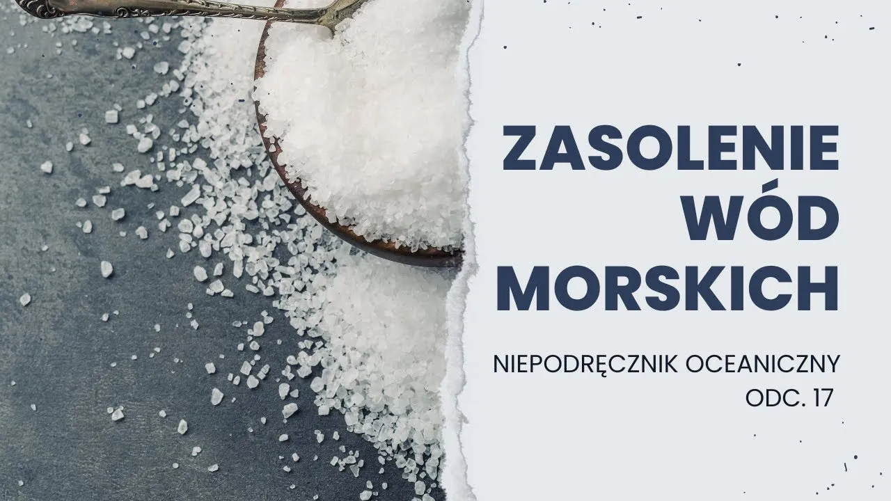 Jakie jest zasolenie Bałtyku? Fakty, które mogą zaskoczyć