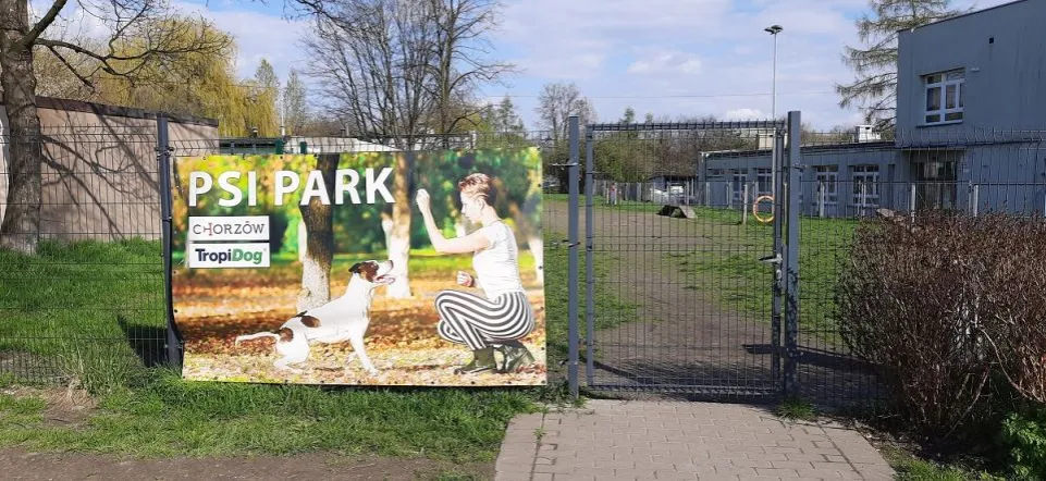 Gdzie z psem na spacer w Śląsku? Odkryj najlepsze miejsca dla psów