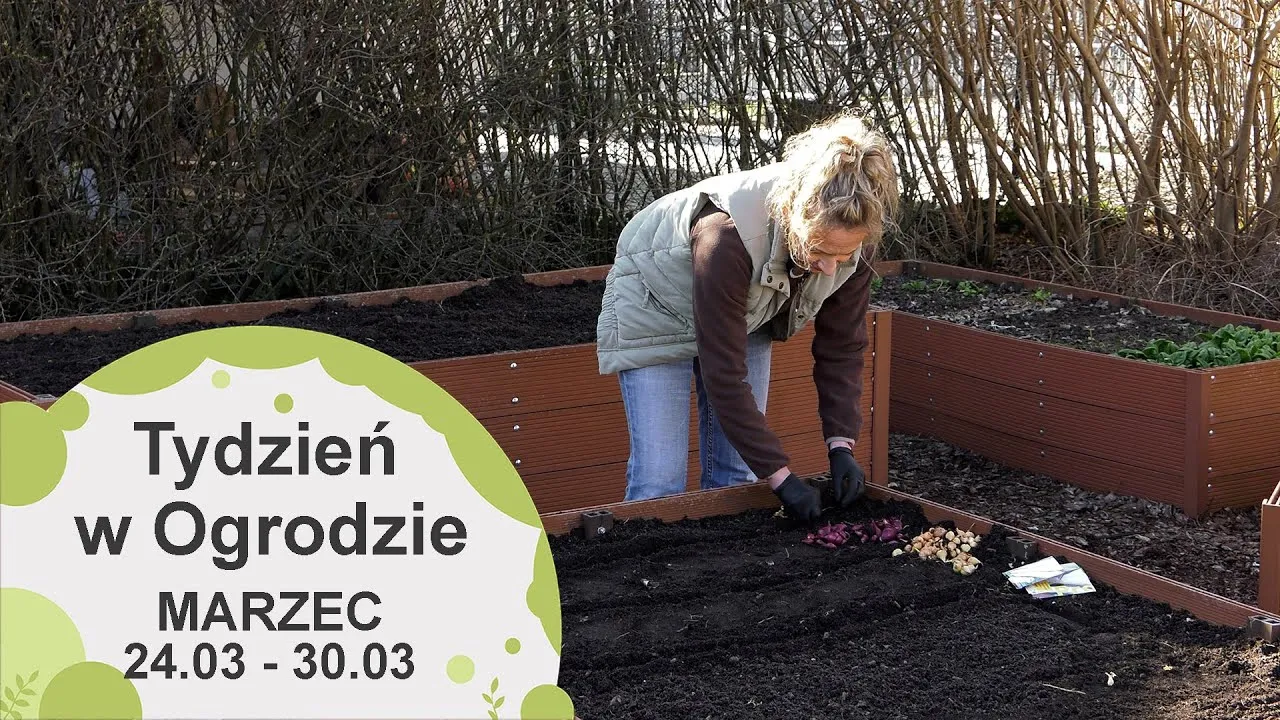 Marzec w ogrodzie: Kluczowe prace dla obfitych plonów i pięknych kwiatów