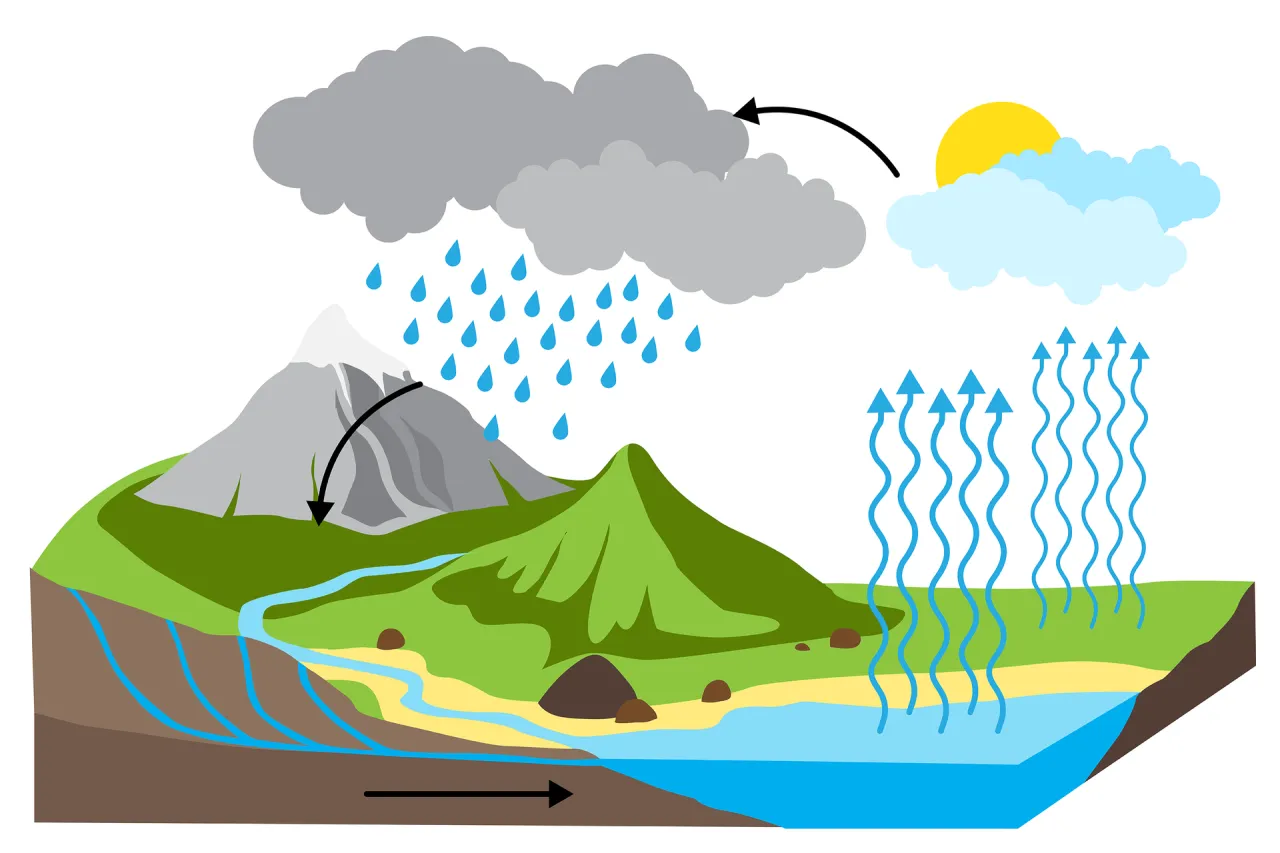 Jak żyła wodna wpływa na środowisko i geologię w Twojej okolicy