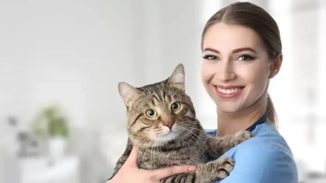 Czym zajmuje się weterynarz? Poznaj jego kluczowe obowiązki i rolę