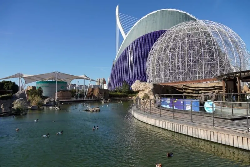 Oceanarium Walencja – Czego nie przegapić i jak zaoszczędzić na biletach