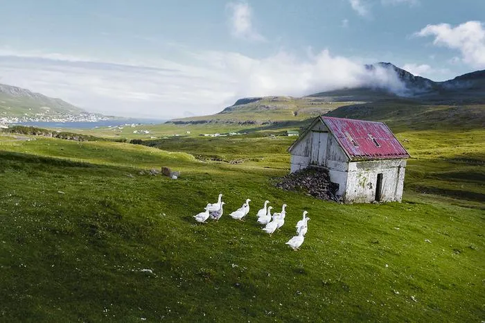 Wyspy Owcze – co to za kraj i jaka jest ich autonomia w Danii?
