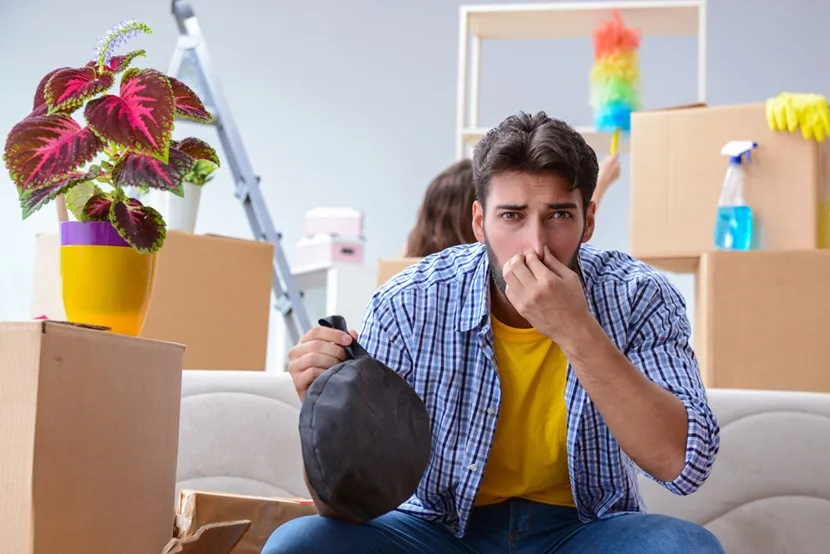 Jak pozbyć się zapachu stęchlizny z mebli i cieszyć się świeżością