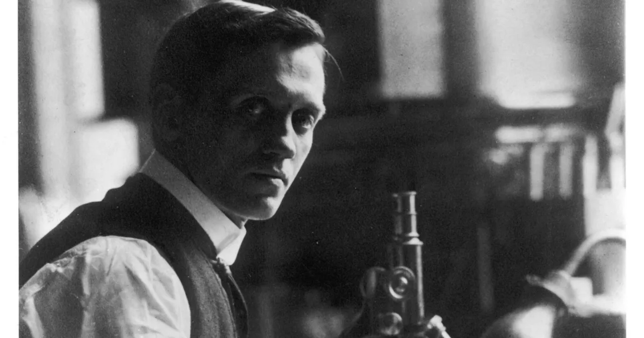 Jak wynaleziono penicylinę? Przypadek, który zmienił medycynę