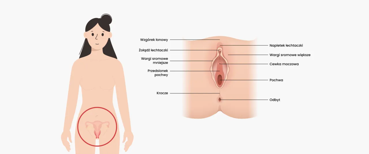 Rodzaje pochwy: Różnorodność jest normą. Poznaj swoje ciało.