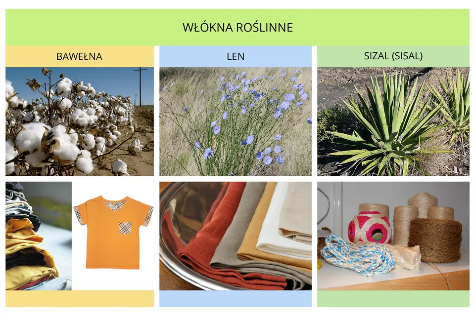 Jakie są włókna roślinne? Odkryj ich właściwości i zastosowanie