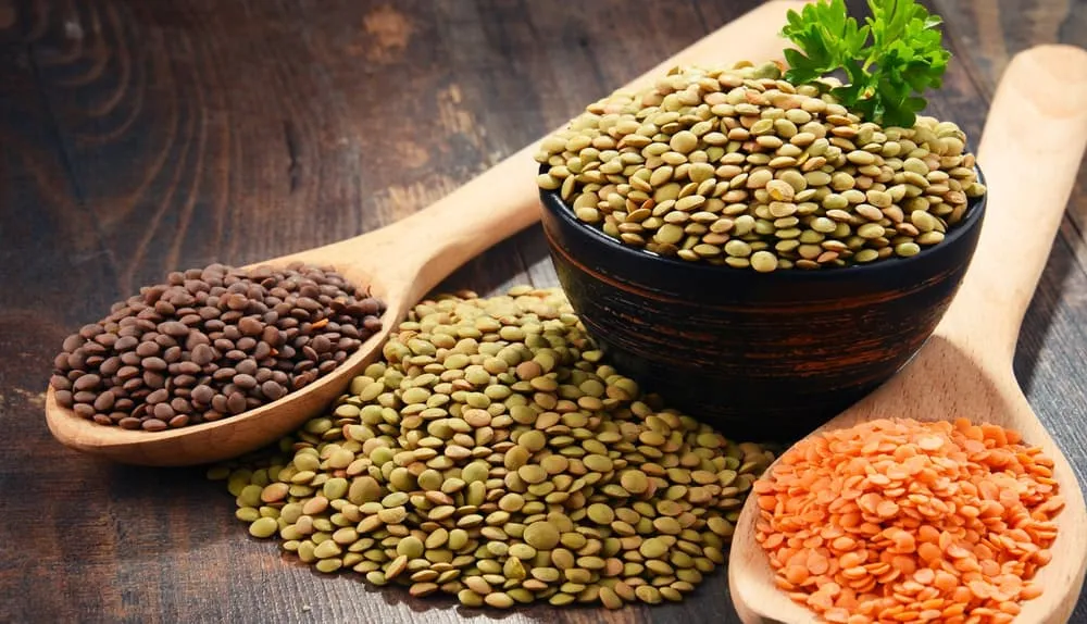 Czy soczewica jest dietetyczna? Odkryj jej zaskakujące korzyści zdrowotne