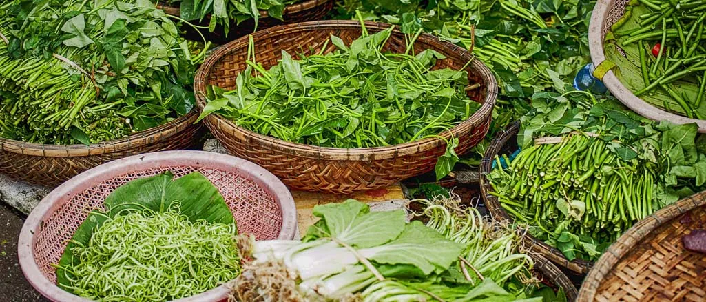 Opłacalna uprawa ziół w Polsce: Jak zacząć i co się liczy?