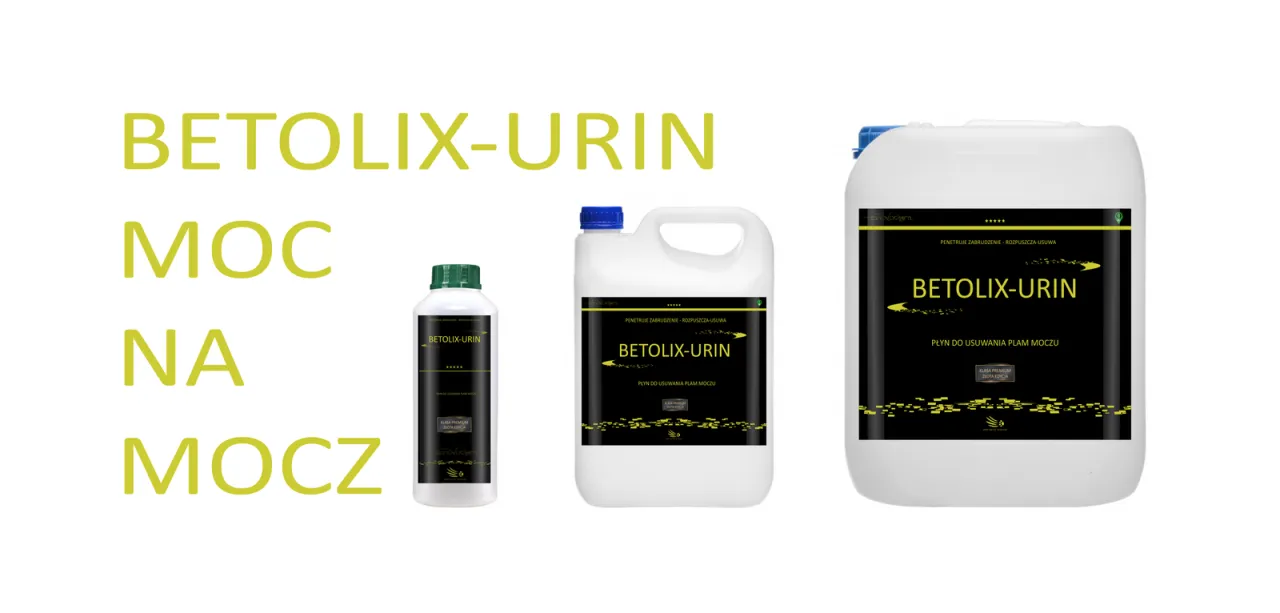 Jak usunąć zapach moczu psa z betonu? Skuteczne metody i porady