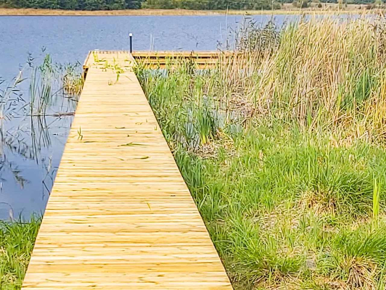 Ile kosztuje budowa pomostu? Sprawdź, by uniknąć niepotrzebnych wydatków