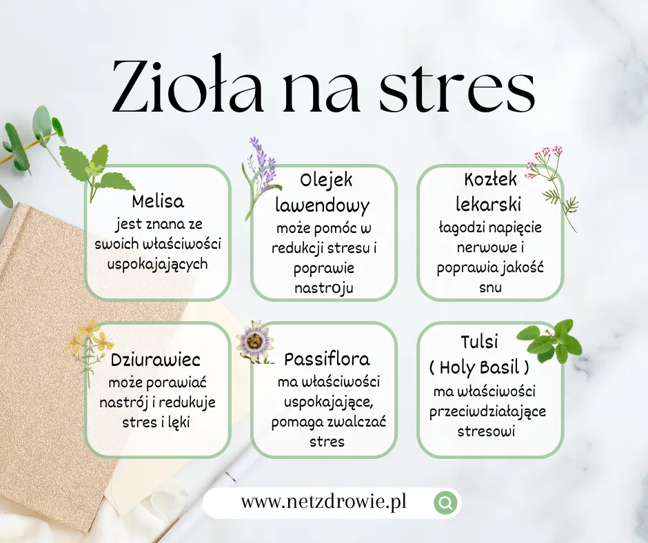 Skuteczne metody: co pomaga na nerwice i jak je stosować Skuteczne metody: co pomaga na nerwice i jak je stosować