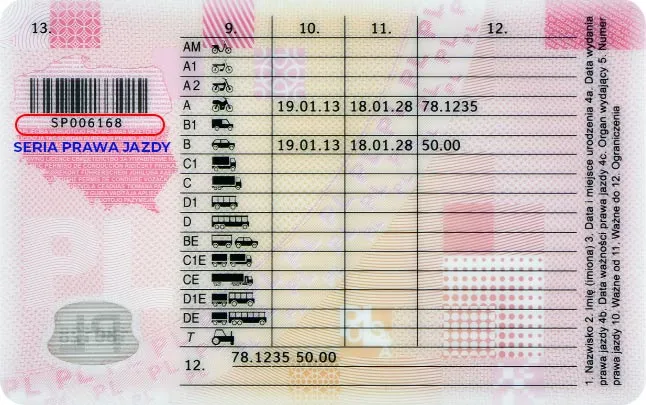 Jak opłacić prawo jazdy online - proste kroki, które musisz znać