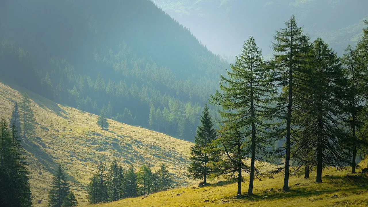 Jak zacząć blog podróżniczy i uniknąć najczęstszych błędów