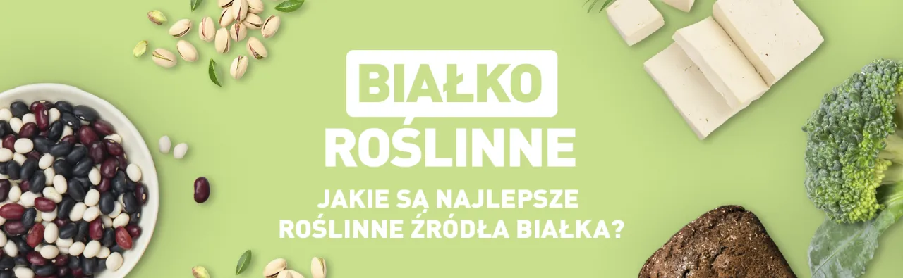 Gdzie kupić białko roślinne? Sprawdzone sklepy i najlepsze oferty