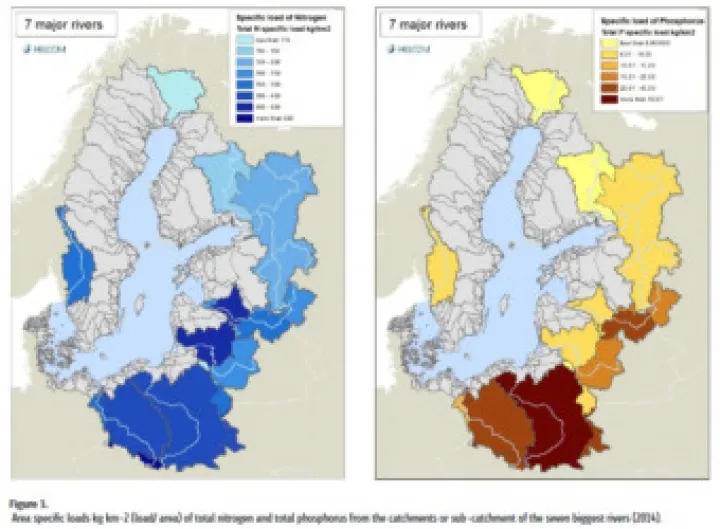 Czy Bałtyk jest czysty? Odkryj prawdę o jakości wody i bezpieczeństwie