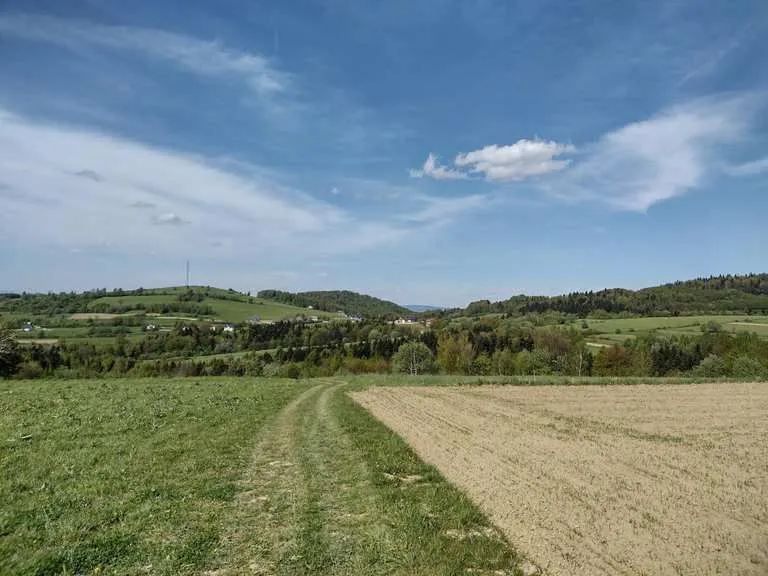 Atrakcje w Iwoniczu Zdroju, które musisz zobaczyć i odwiedzić