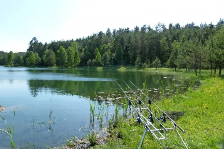 Cennik łowiska Całowanie: Sprawdź, ile zapłacisz za wędkowanie