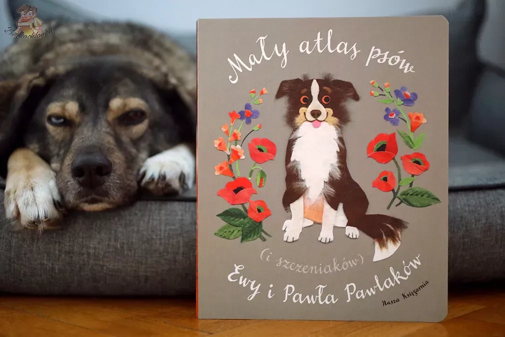 Atlas psów dla dzieci: Jak wybrać idealną książkę dla małego fana?