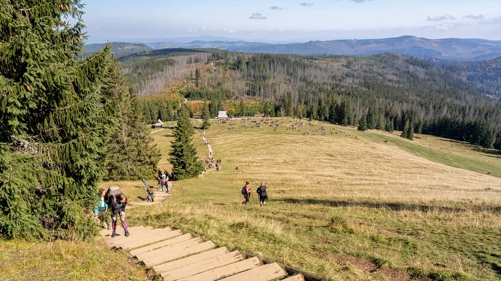 Ile schodów na Gęsią Szyję? Odkryj wyzwania tej trasy!