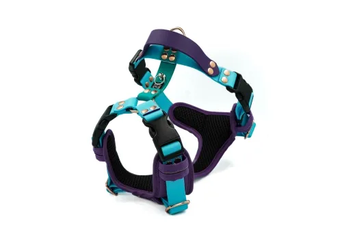 Jak dobrać szelki dla psa, aby zapewnić mu komfort i bezpieczeństwo