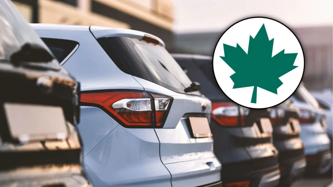 Zielony listek dla kierowców: Czy to już 2026? Rozwiewamy wątpliwości