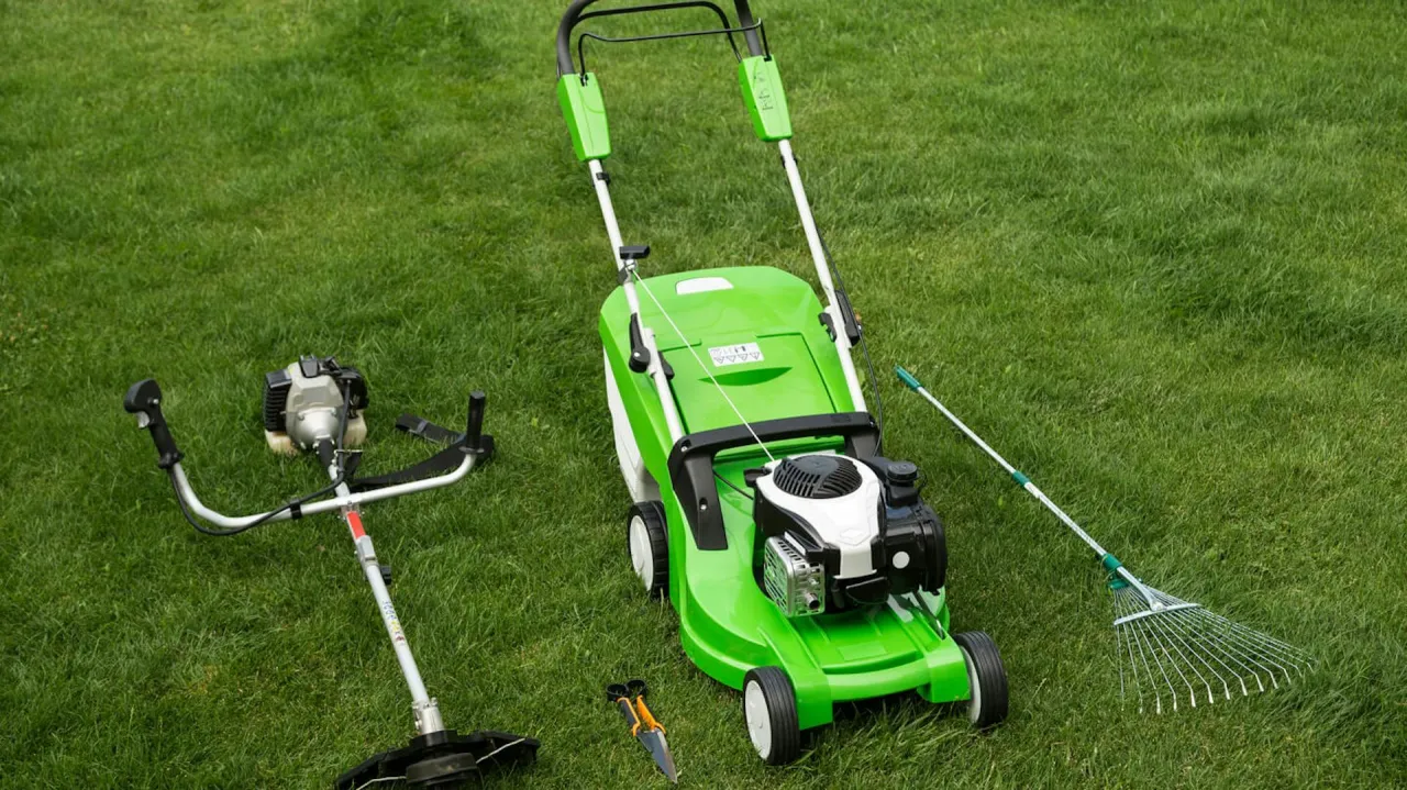 Kosiarka spalinowa do 1500 zł: TOP modele, na co uważać?