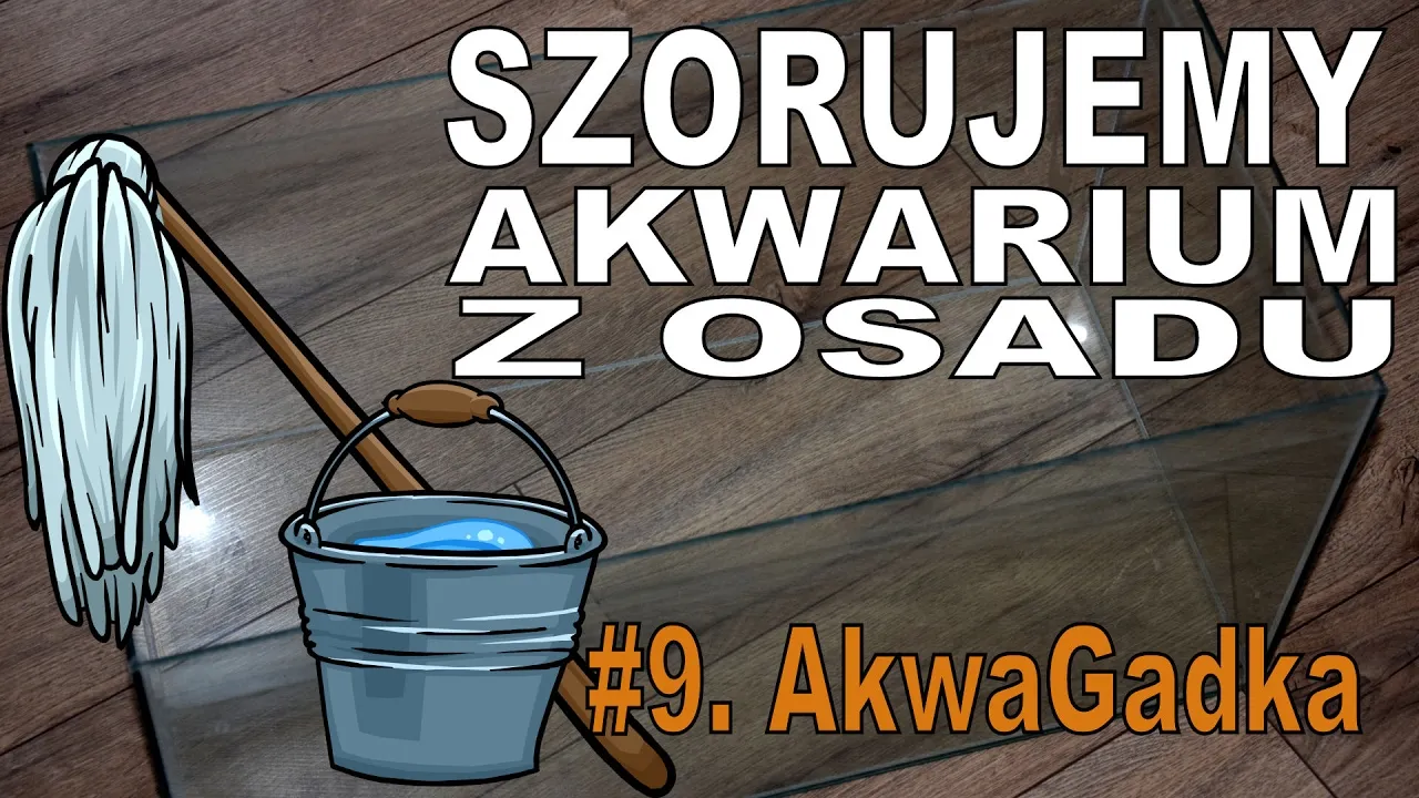 Jak wyczyścić akwarium z osadu: 6 skutecznych metod
