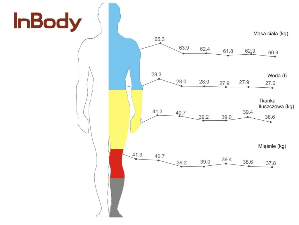 Kilo mięśni a kilo tłuszczu: Wpływ na sylwetkę i zdrowie