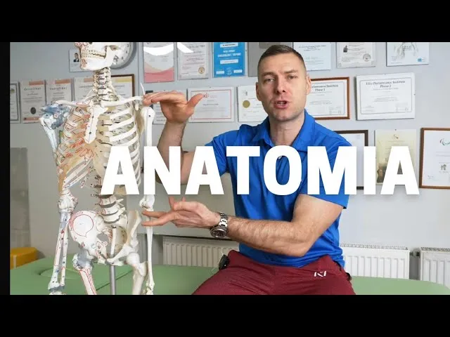Czym są peryferalne odcinki? Wyjaśnienie w technologii i anatomii