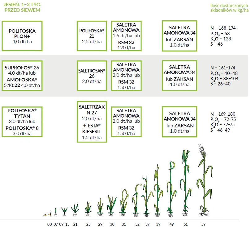 Jaki nawóz pod żyto ozime? Odkryj najlepsze metody nawożenia Jaki nawóz pod żyto ozime? Odkryj najlepsze metody nawożenia