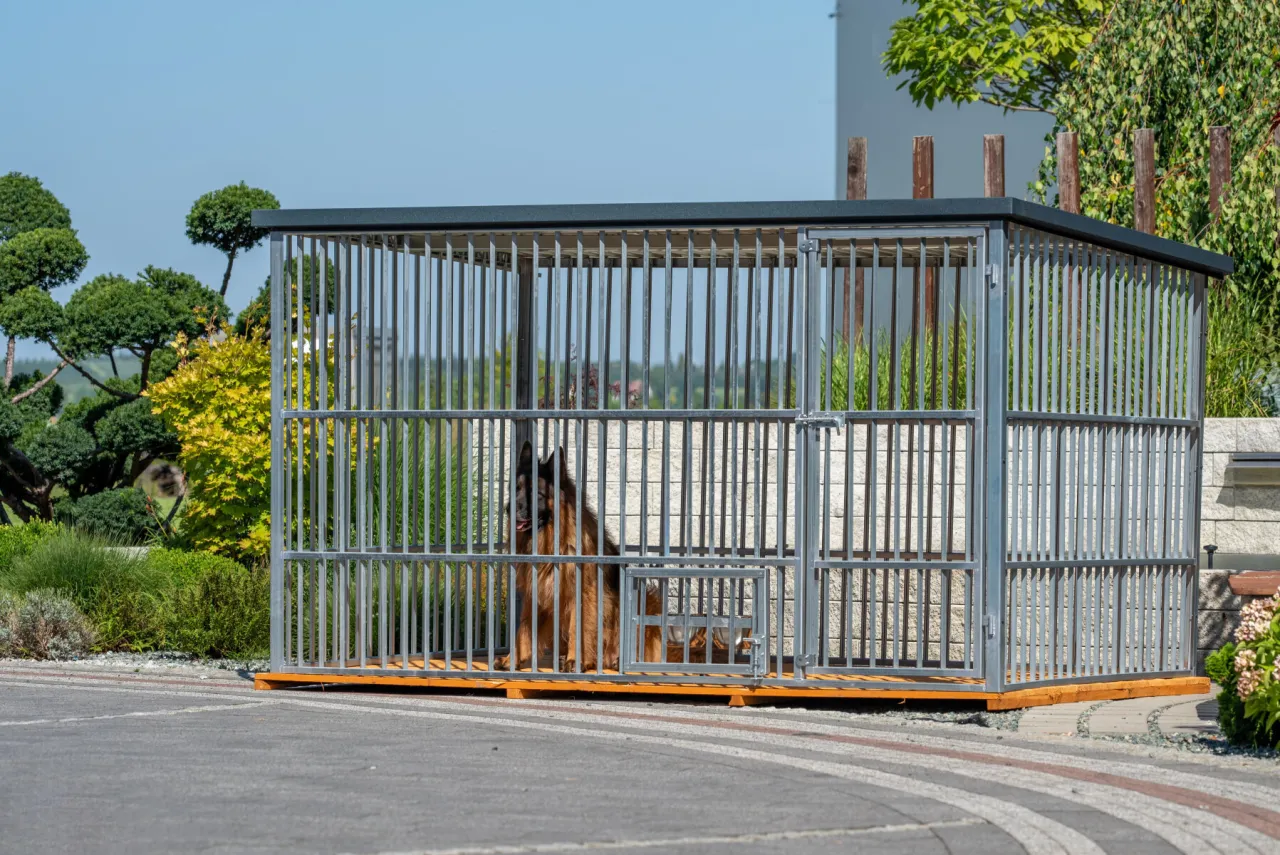 Budowa kojca dla psa: Praktyczny poradnik krok po kroku