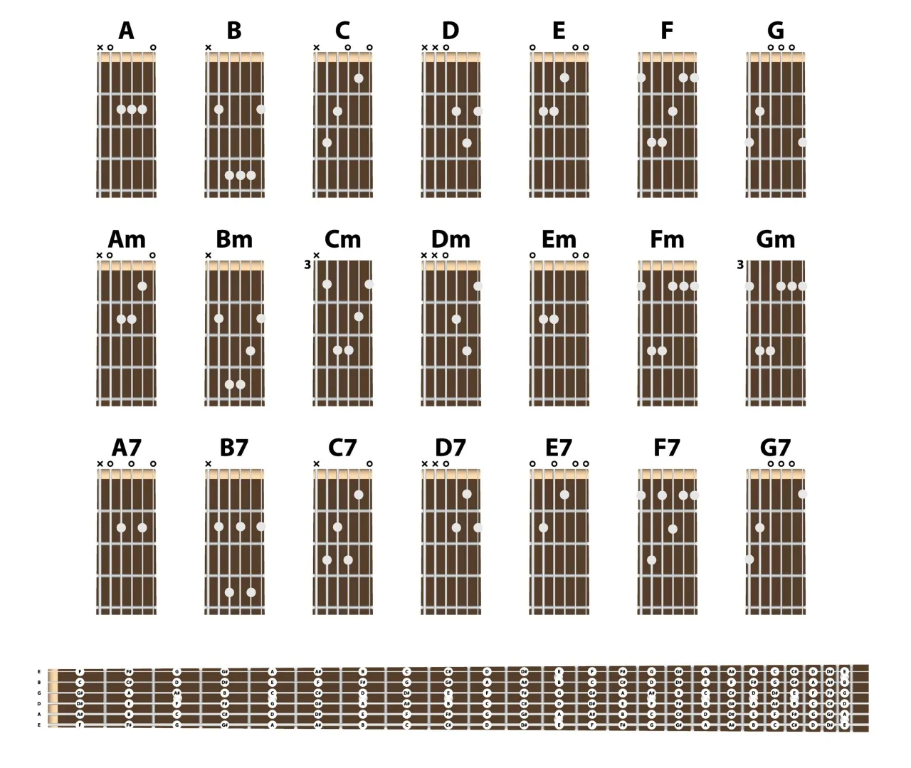 Najlepsze chwyty na gitarę basową, które ułatwią naukę gry