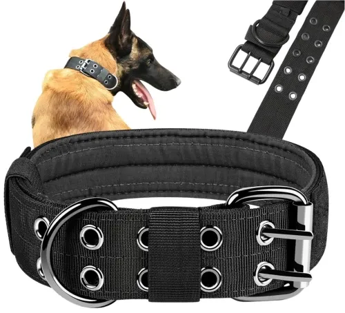 Jaka szerokość obroży dla owczarka niemieckiego, aby zapewnić komfort?