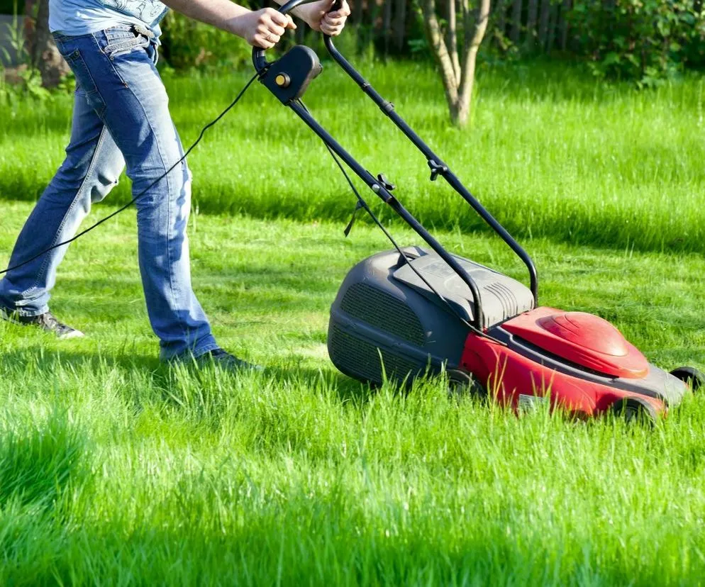 Zadbany trawnik z elektryczną kosiarką: Jak wybrać najlepszą?