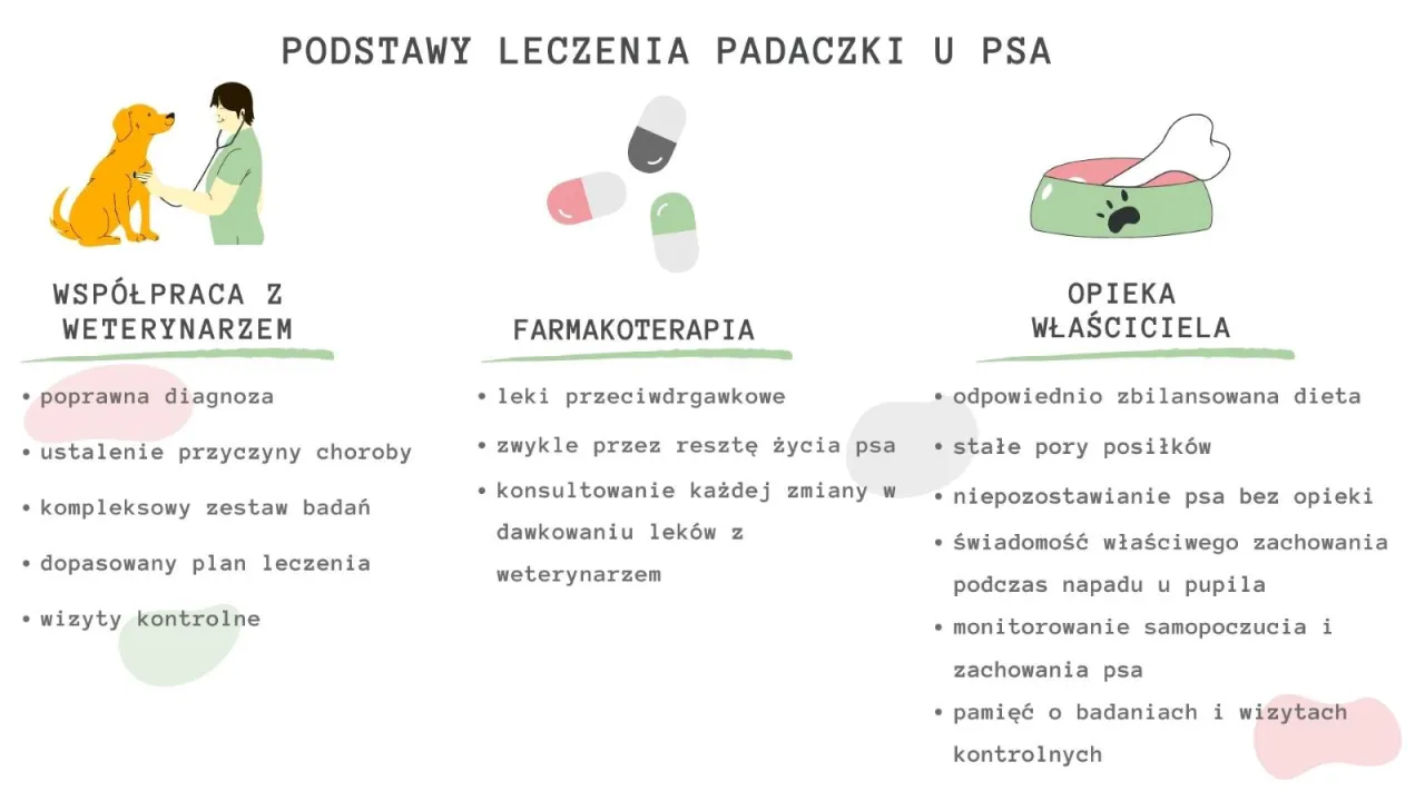 Padaczka idiopatyczna u psa: Atak i pomoc. Jak kontrolować chorobę? Padaczka idiopatyczna u psa: Atak i pomoc. Jak kontrolować chorobę?