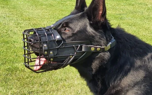 Kaganiec fizjologiczny dla owczarka: Komfort i bezpieczeństwo