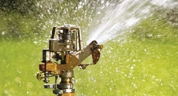 Jaki zraszacz pulsacyjny wybrać? Najlepsze modele i porady nawadniania