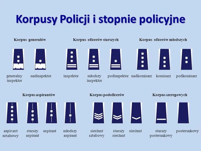Stopnie w polskiej policji: Jak wygląda hierarchia? Pełna lista
