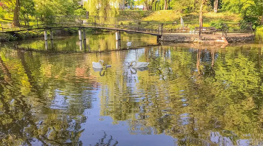 Najlepsze atrakcje w Dubiecko, które musisz zobaczyć podczas wizyty
