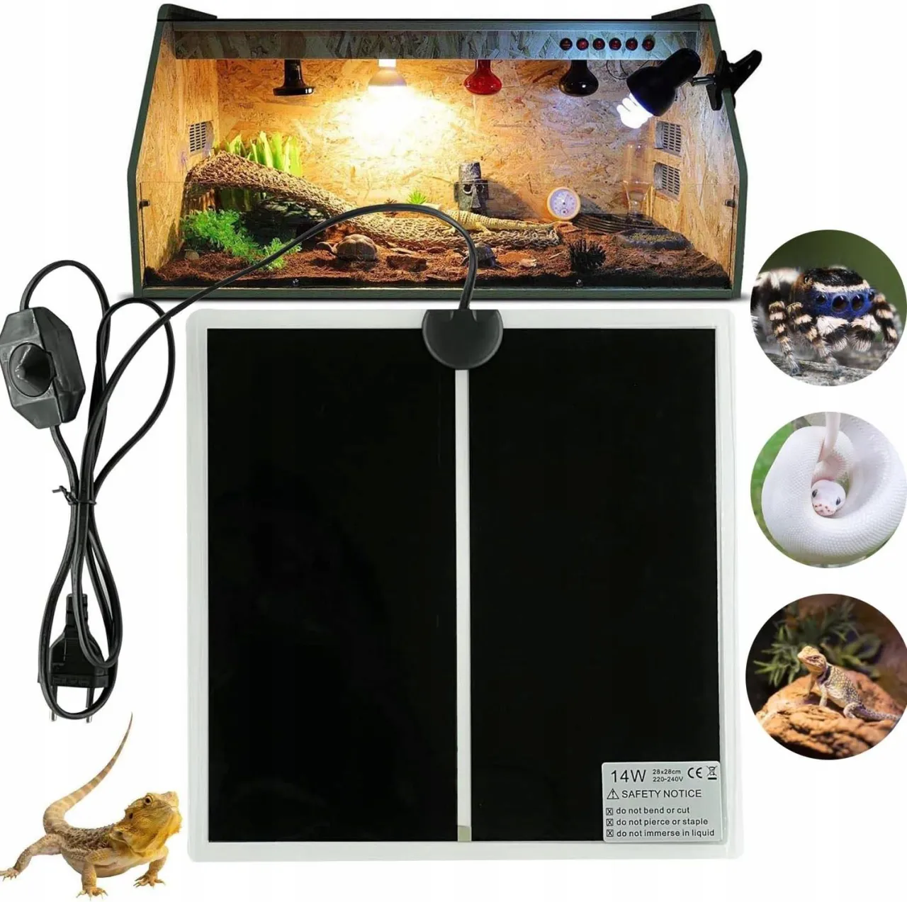 Jak zamontować matę grzewczą w terrarium, aby uniknąć błędów