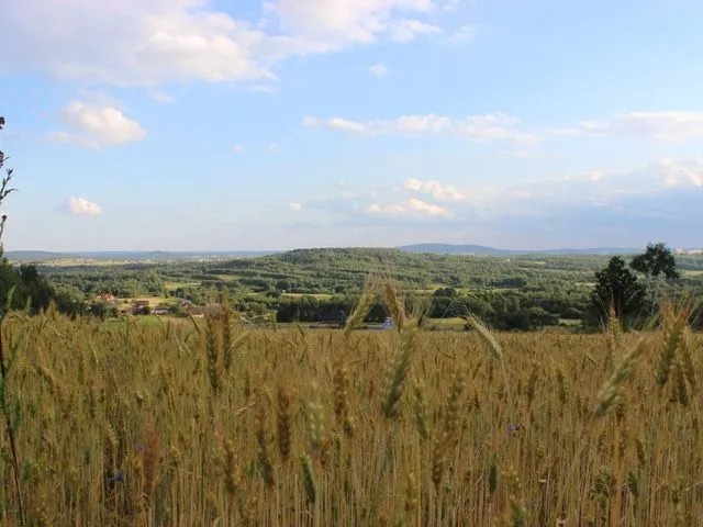 W którym roku powstał Świętokrzyski Park Narodowy i co warto wiedzieć?