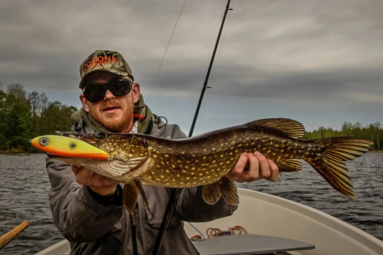 Jak złowić szczupaka na spławik - skuteczne techniki i przynęty